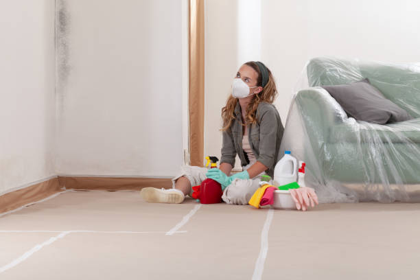 Reliable Commercial Mold Remediation contractor in Cameron Park, TX by 24 Hour Mold Removal